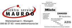 Elektro Mauroo